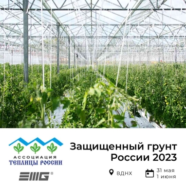 Защищенный грунт России 2023